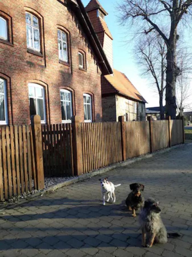 Charmante Dorfschule Hohenhameln Zewnętrze zdjęcie